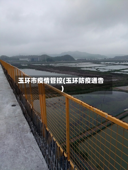 玉环市疫情管控(玉环防疫通告)-第3张图片