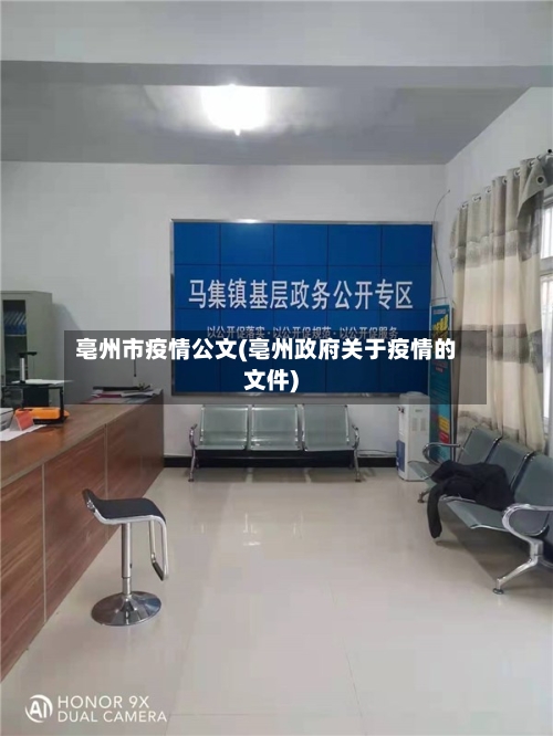 亳州市疫情公文(亳州政府关于疫情的文件)-第2张图片