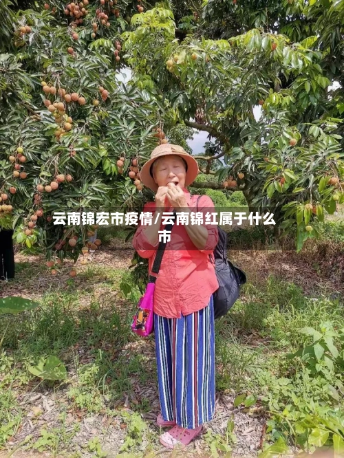 云南锦宏市疫情/云南锦红属于什么市