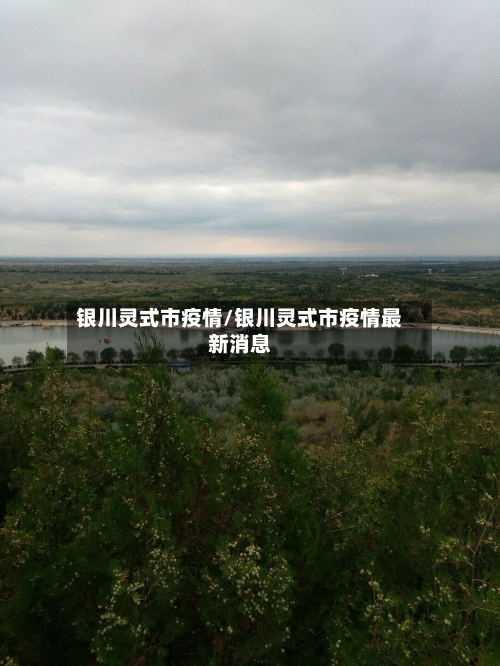 银川灵式市疫情/银川灵式市疫情最新消息-第3张图片