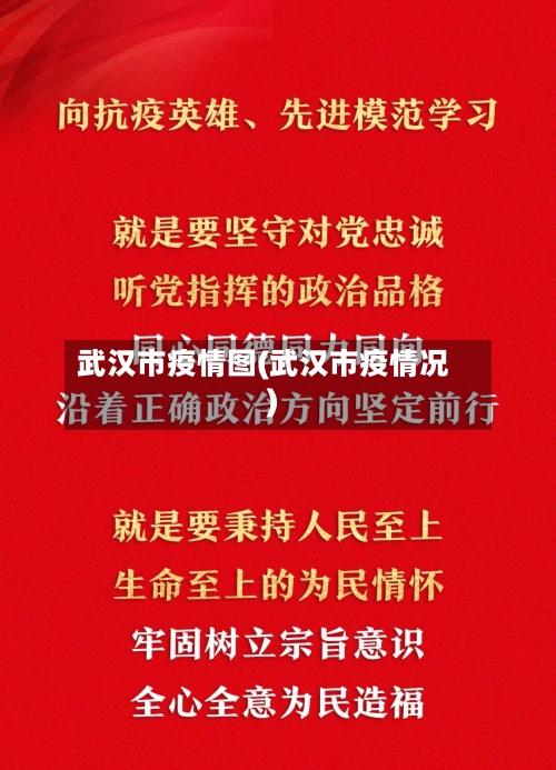 武汉市疫情图(武汉市疫情况)