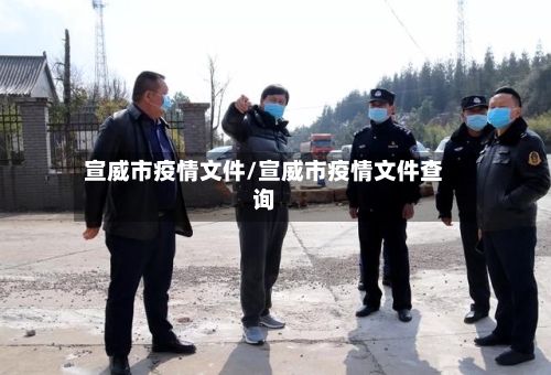 宣威市疫情文件/宣威市疫情文件查询-第2张图片