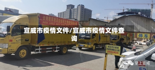 宣威市疫情文件/宣威市疫情文件查询