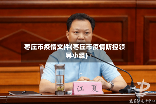 枣庄市疫情文件(枣庄市疫情防控领导小组)-第2张图片