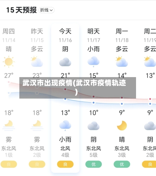 武汉市出现疫情(武汉市疫情轨迹)