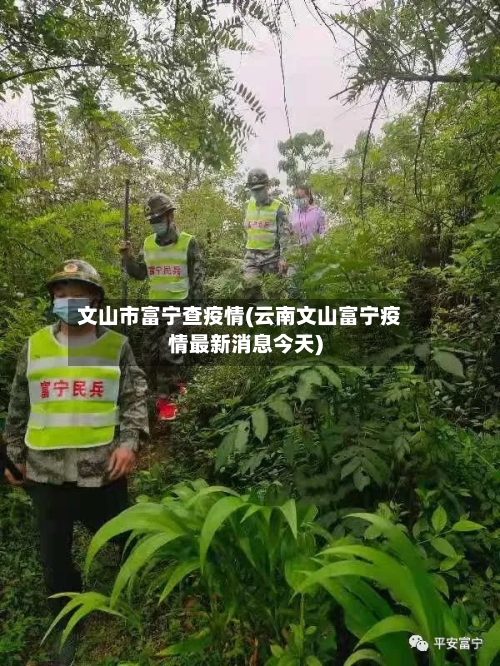 文山市富宁查疫情(云南文山富宁疫情最新消息今天)