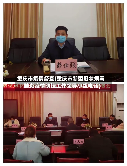 重庆市疫情督查(重庆市新型冠状病毒肺炎疫情防控工作领导小组电话)-第3张图片