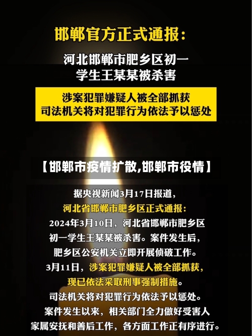 【邯郸市疫情扩散,邯郸市役情】-第3张图片