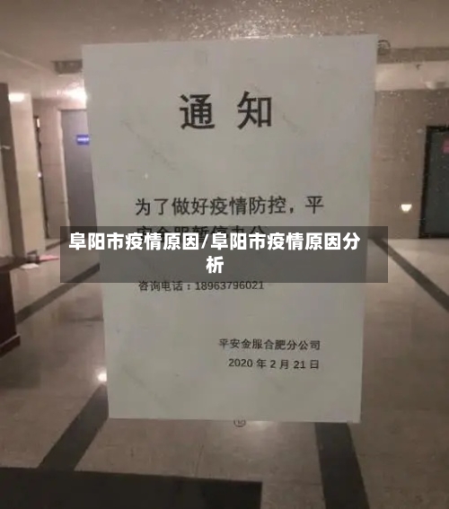 阜阳市疫情原因/阜阳市疫情原因分析