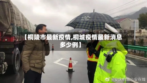 【桐陵市最新疫情,桐城疫情最新消息多少例】-第2张图片