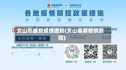 文山市最新疫情通知(文山最新疫情防控)-第3张图片