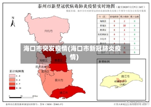 海口市突发疫情(海口市新冠肺炎疫情)