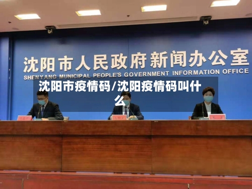 沈阳市疫情码/沈阳疫情码叫什么