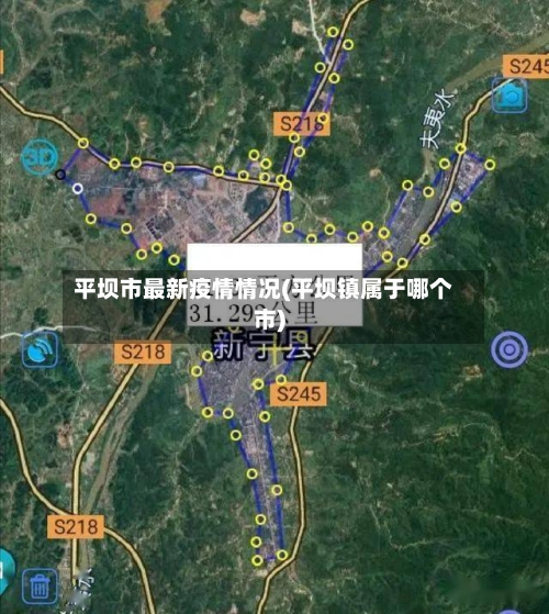平坝市最新疫情情况(平坝镇属于哪个市)-第2张图片