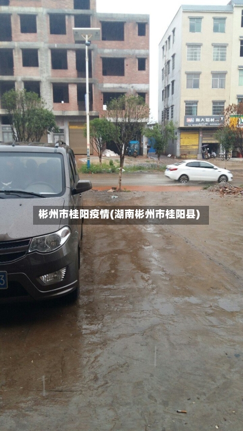 彬州市桂阳疫情(湖南彬州市桂阳县)-第2张图片