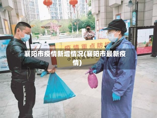 襄阳市疫情新增情况(襄阳市最新疫情)-第2张图片
