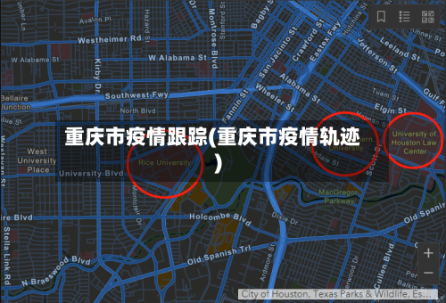 重庆市疫情跟踪(重庆市疫情轨迹)-第2张图片