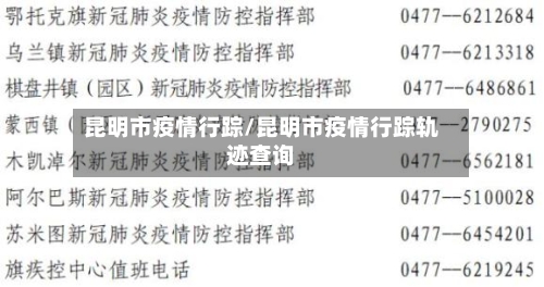 昆明市疫情行踪/昆明市疫情行踪轨迹查询-第2张图片