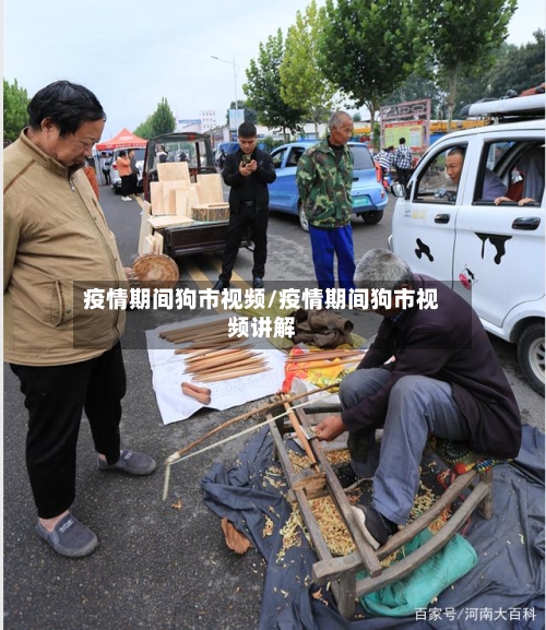 疫情期间狗市视频/疫情期间狗市视频讲解