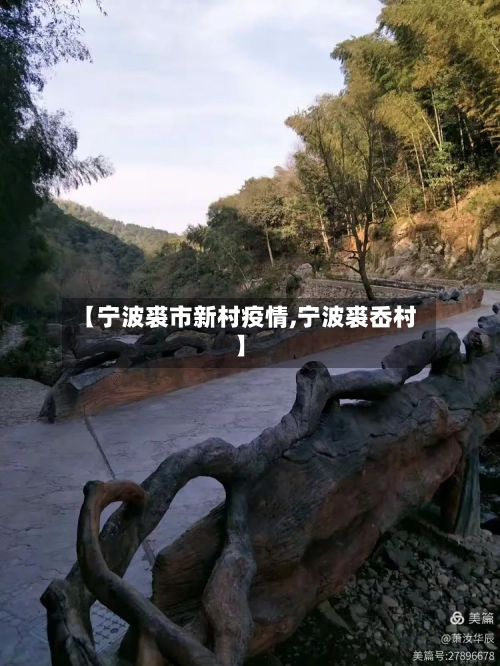【宁波裘市新村疫情,宁波裘岙村】
