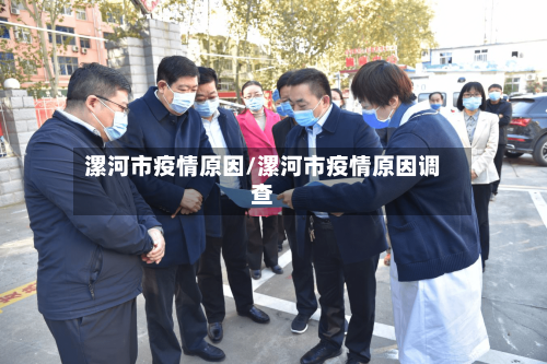 漯河市疫情原因/漯河市疫情原因调查