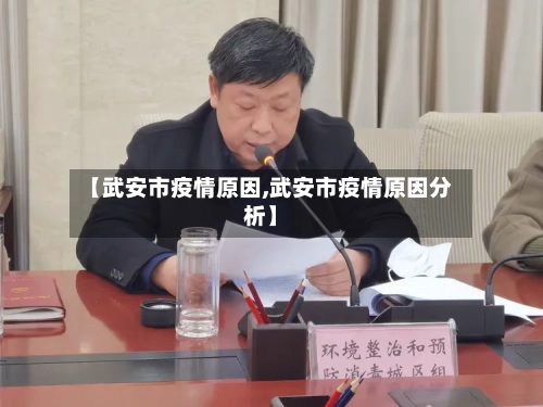 【武安市疫情原因,武安市疫情原因分析】-第2张图片