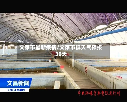 文家市最新疫情/文家市镇天气预报30天-第3张图片