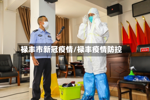 禄丰市新冠疫情/禄丰疫情防控