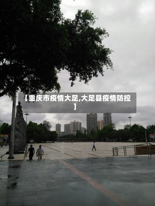 【重庆市疫情大足,大足县疫情防控】-第2张图片