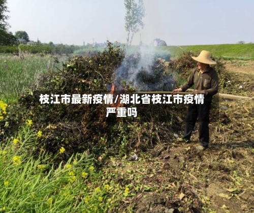 枝江市最新疫情/湖北省枝江市疫情严重吗