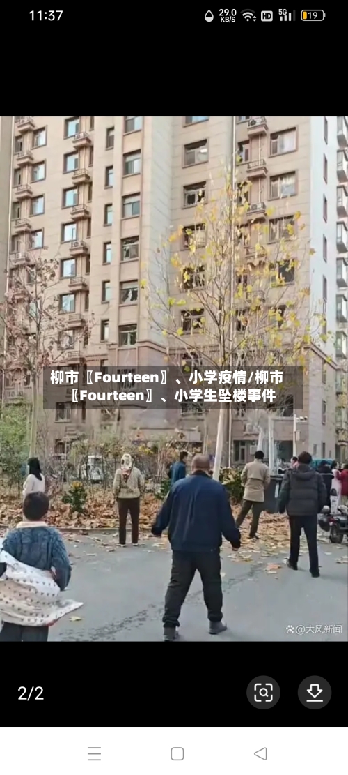 柳市〖Fourteen〗	、小学疫情/柳市〖Fourteen〗、小学生坠楼事件-第2张图片
