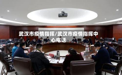 武汉市疫情指挥/武汉市疫情指挥中心电话-第3张图片