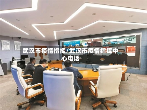 武汉市疫情指挥/武汉市疫情指挥中心电话-第2张图片