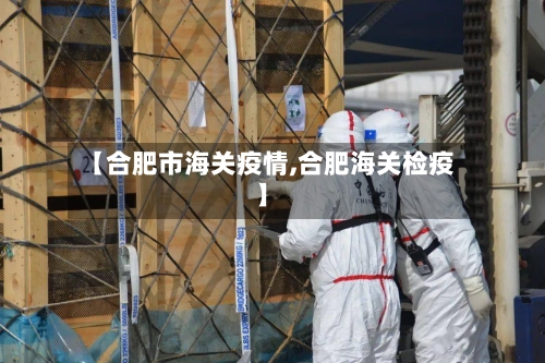 【合肥市海关疫情,合肥海关检疫】-第2张图片