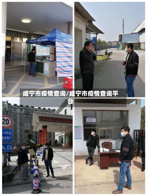 咸宁市疫情查询/咸宁市疫情查询平台-第2张图片