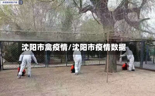沈阳市禽疫情/沈阳市疫情数据