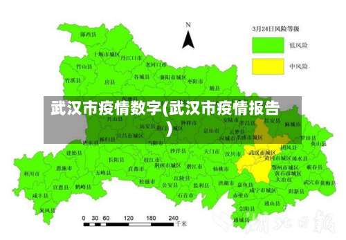 武汉市疫情数字(武汉市疫情报告)