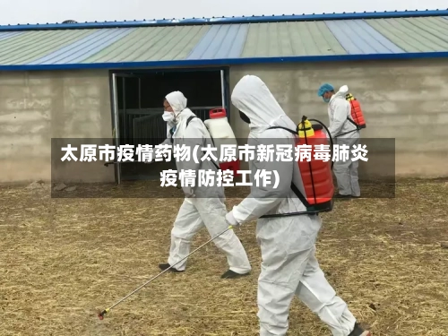 太原市疫情药物(太原市新冠病毒肺炎疫情防控工作)-第2张图片