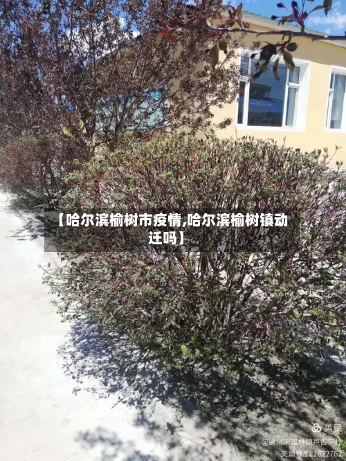 【哈尔滨榆树市疫情,哈尔滨榆树镇动迁吗】