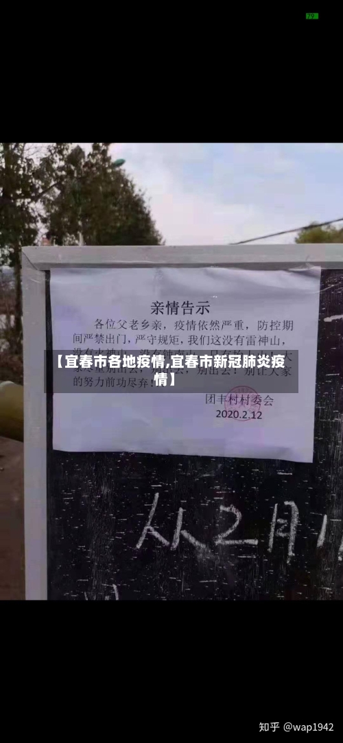 【宜春市各地疫情,宜春市新冠肺炎疫情】-第3张图片