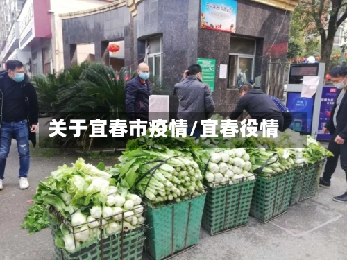 关于宜春市疫情/宜春役情