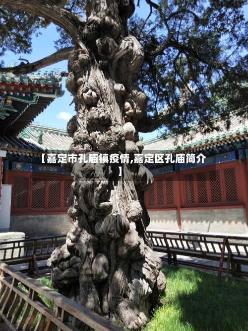 【嘉定市孔庙镇疫情,嘉定区孔庙简介】
