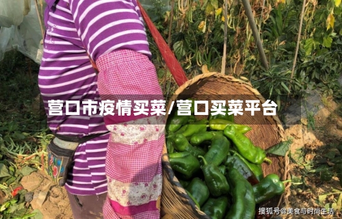 营口市疫情买菜/营口买菜平台