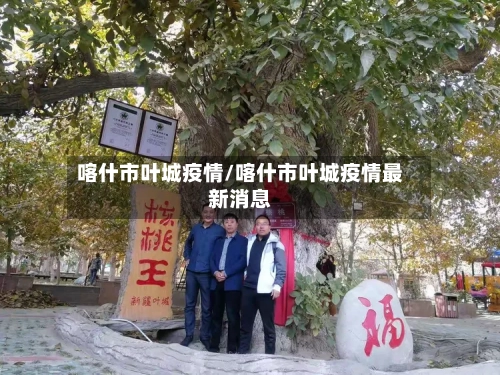 喀什市叶城疫情/喀什市叶城疫情最新消息-第2张图片