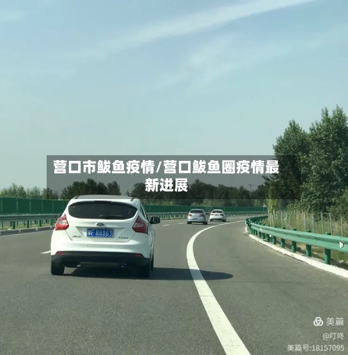 营口市鲅鱼疫情/营口鲅鱼圈疫情最新进展-第3张图片