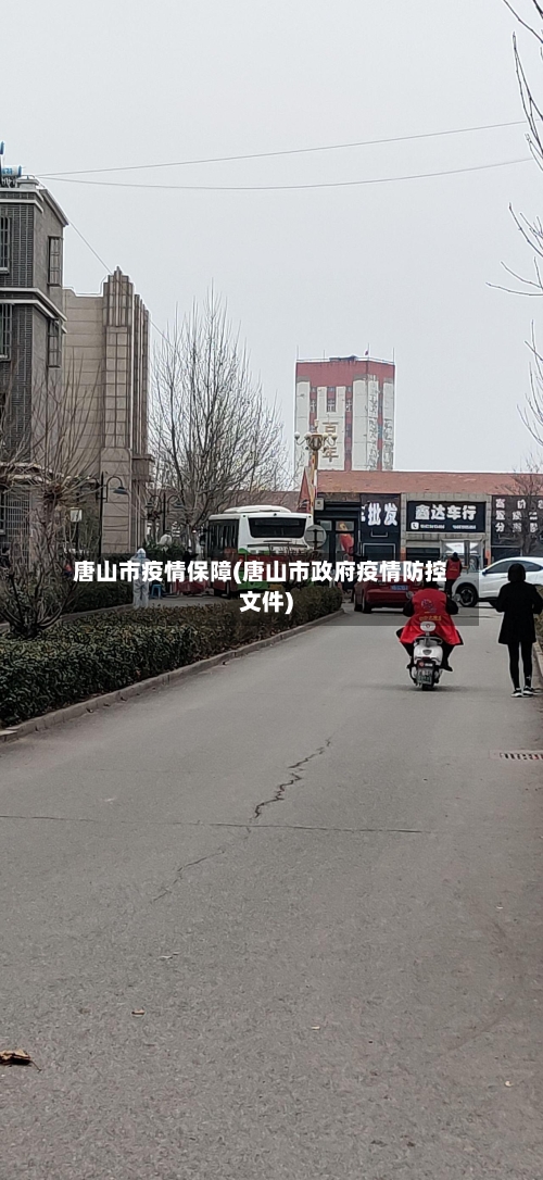 唐山市疫情保障(唐山市政府疫情防控文件)-第2张图片