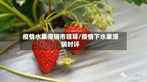 疫情水果滞销市领导/疫情下水果滞销时评-第2张图片