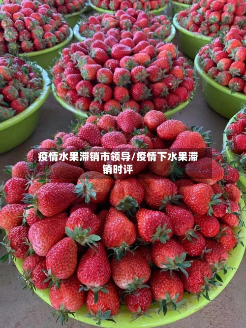 疫情水果滞销市领导/疫情下水果滞销时评-第3张图片