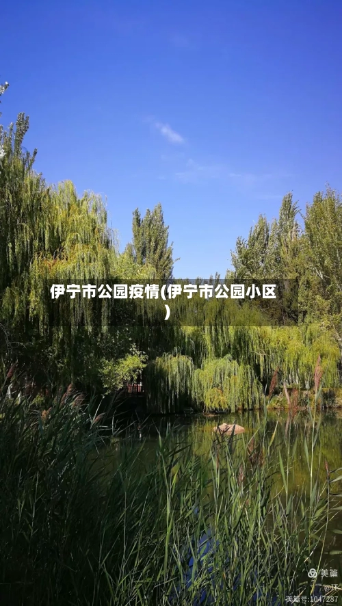伊宁市公园疫情(伊宁市公园小区)