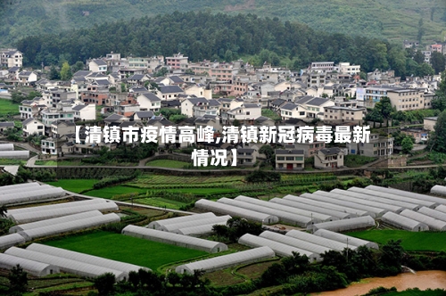 【清镇市疫情高峰,清镇新冠病毒最新情况】-第2张图片
